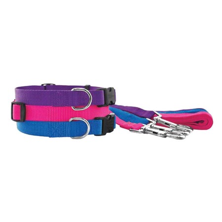 Nylon Pet Fashion Dog Collar